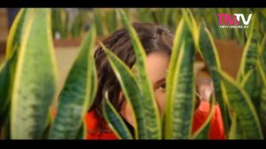 Рамиля хэм Разиля Батыровалар - Мэхэббэтем нуры