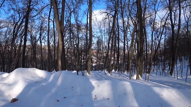 Ясный день