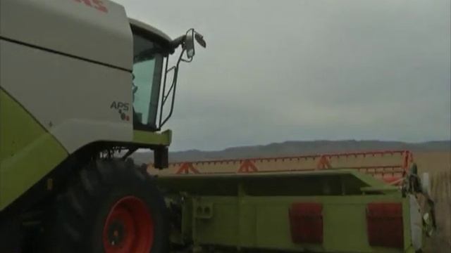 УБОРКА УРОЖАЯ