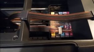 Принтер Epson. Ремонт и обслуживание самостоятельно