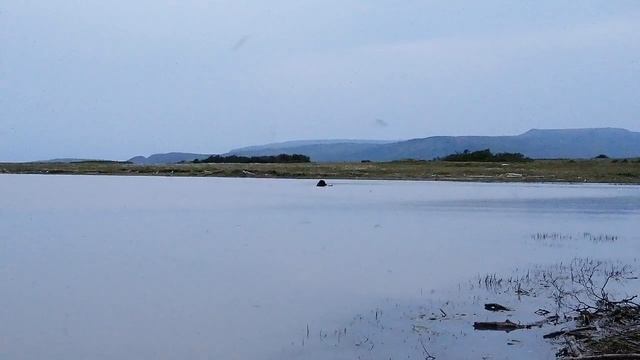 9 ноября 2023 г. смотреть онлайн