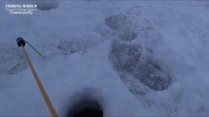 На это Плотва клюет все зиму Секретная добавка и вся плотва ваша Как ловить плотву зимой