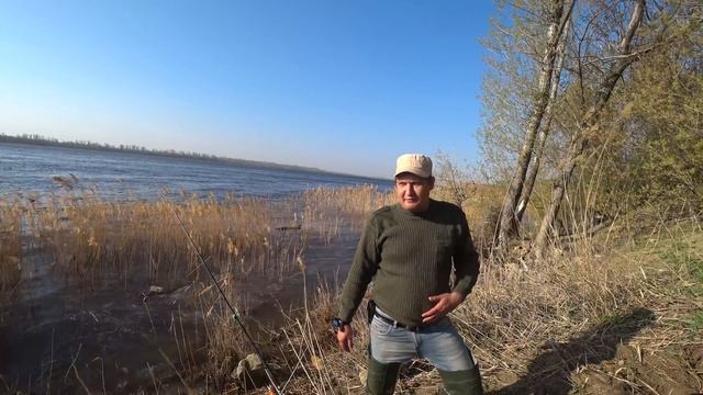 #4 Голавль Весной. Рыбалка с Берега на Реке Волге. Ловля на Закидушку Донку