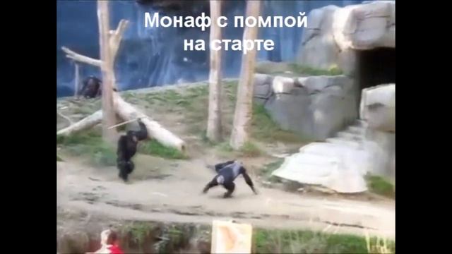 монаф с помпой смотреть онлайн