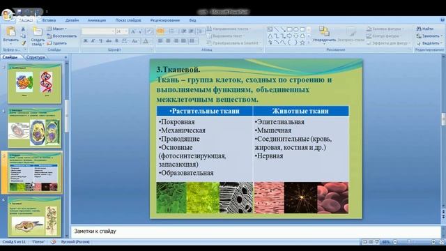 Биология 7 класс 1-2 неделя смотреть онлайн