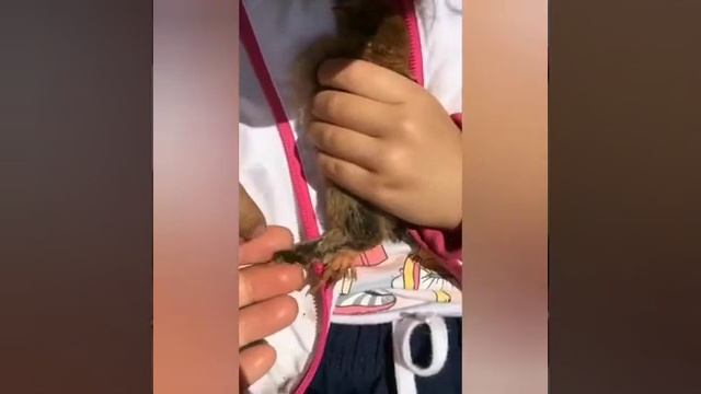 Жизнь в деревне