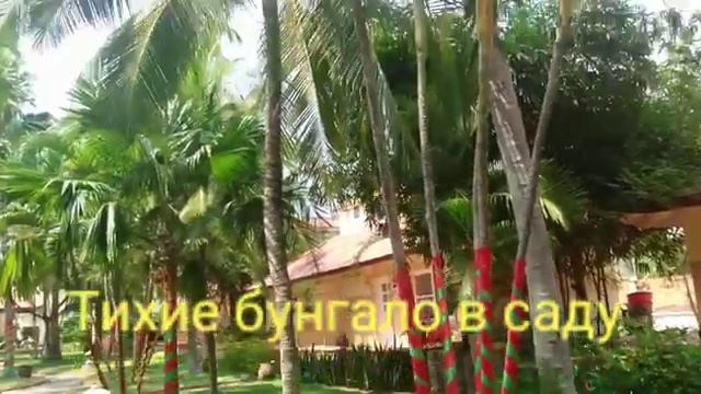 Вьетнам, Муйне, отель Swiss Village Resort & spa