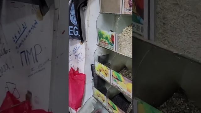 Египет 2022 ТЦ магазин Дарья у Миши Шарм-эль-Шейх #шармельшейх #египет #мишадарья