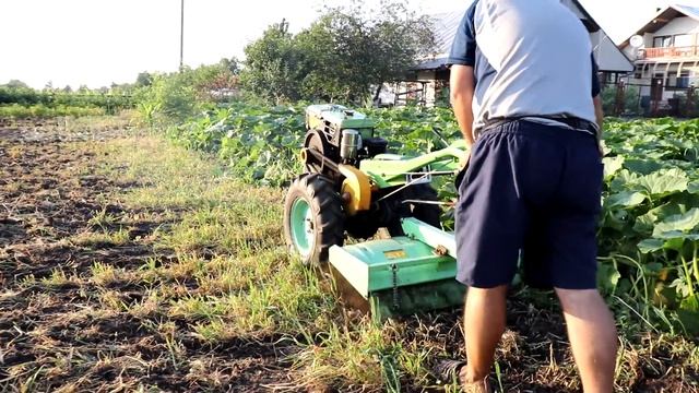 САНЯ сосед не откажет НИКОГДА! Сеем горчицу! смотреть онлайн