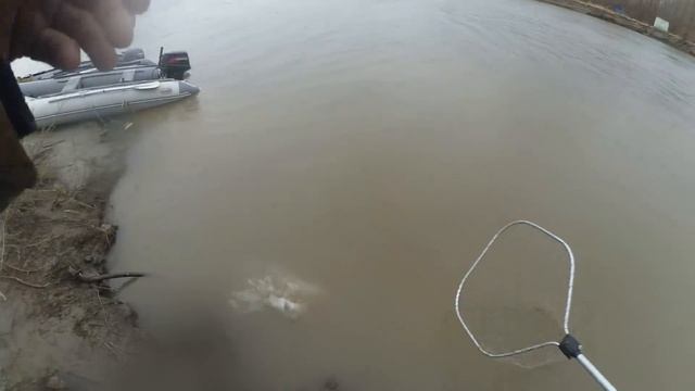 ПОПАЛИ НА ВЕСЕННИЙ ЖОР СУДАКА!!!Рыбалка!Джиг! Трофейная рыбалка! смотреть онлайн