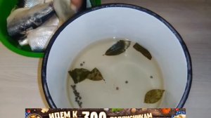 Соленая селедка по домашнему