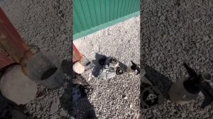 BMW X6 на замену раздатки.