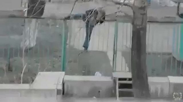 Забор