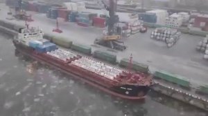 Корабль «Михаил Дудин» с «урановыми хвостами» прибыл в порт Петербурга. Опасный груз отправится на