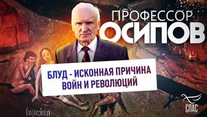 ПРОФЕССОР ОСИПОВ: БЛУД - ИСКОННАЯ ПРИЧИНА ВОЙН И РЕВОЛЮЦИЙ