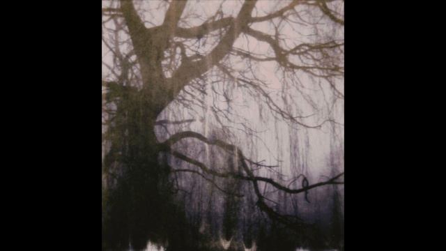 *FREE* grunge x metal x alternative rock instrumental - "dreadful forest" || + anticøn смотреть онлайн