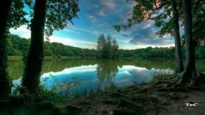 Красота Полей II  Beauty Elysees