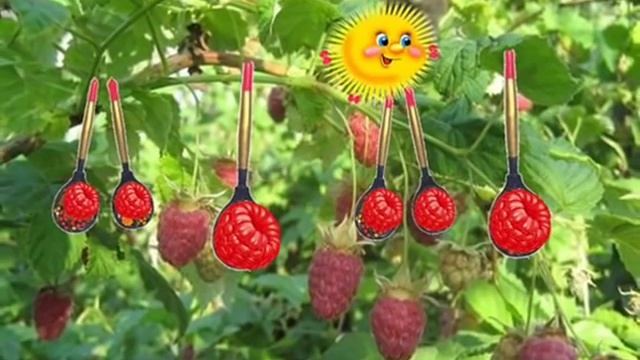 «По малину в сад пойдем» Музыка А. Филиппенко смотреть онлайн