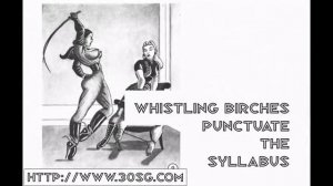 Bizarre Honeymoon Gregor Femdom Female Domination Fetish High Heels