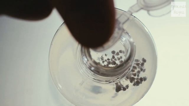 Коллоидный сад - набор для опытов Простая Наука - BlackBox смотреть онлайн