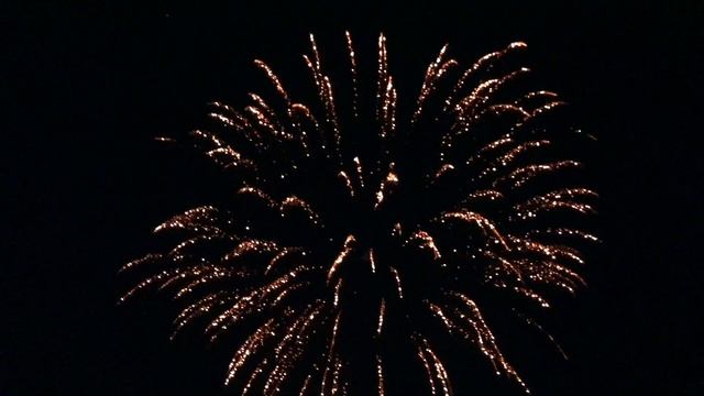 3" NOTHING BUT NISHIKI by MAGNUS FIREWORKS смотреть онлайн