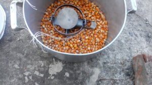 Как избавиться от крыс в частном доме навсегда!!!