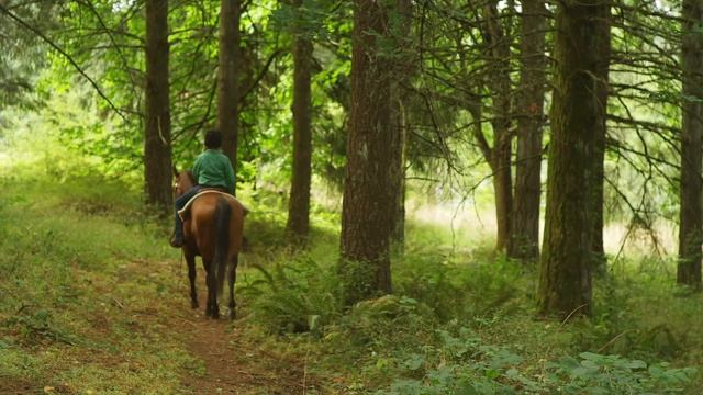 Медитация. Успокаивающая музыка. Природа. смотреть онлайн