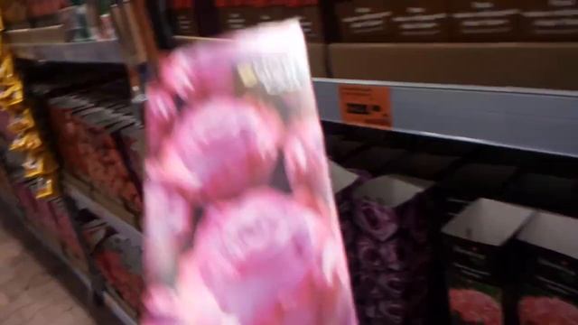 Магазин ОБИ,растения в коробках,розы,георгины,пионы,лилии,клематисы,гладиолусы...часть 2 смотреть онлайн