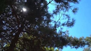 Новомихайловский 2020.Дикий пляж.часть 1.