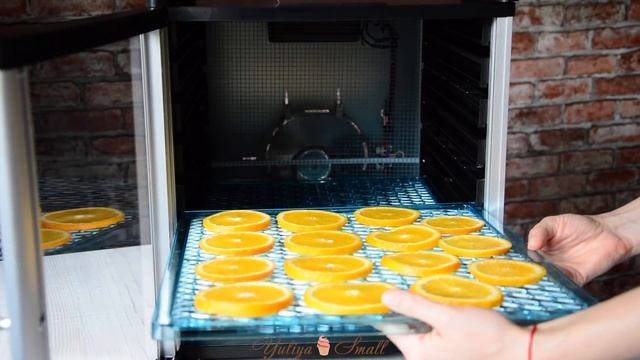 РОЗЫГРЫШ ☆ Сушилка для фруктов и овощей Gemlux ☆ ОБЗОР смотреть онлайн