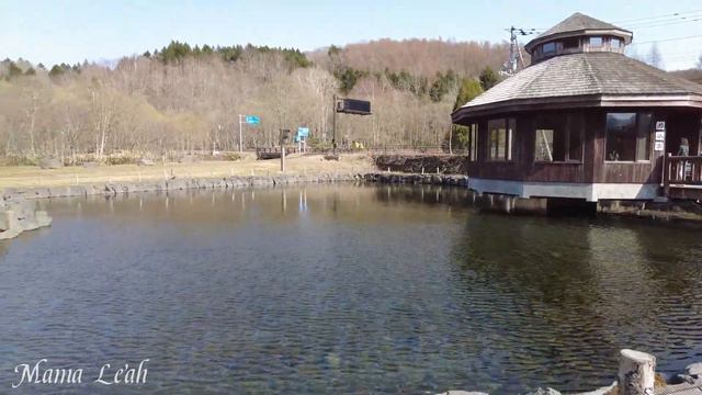 Spring Vibes at Sangaitaki Park Date, Hokkaido Japan  #spring #hokkaido