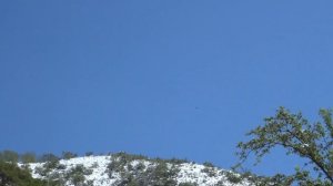 АЛГА КАЗАХСТАН