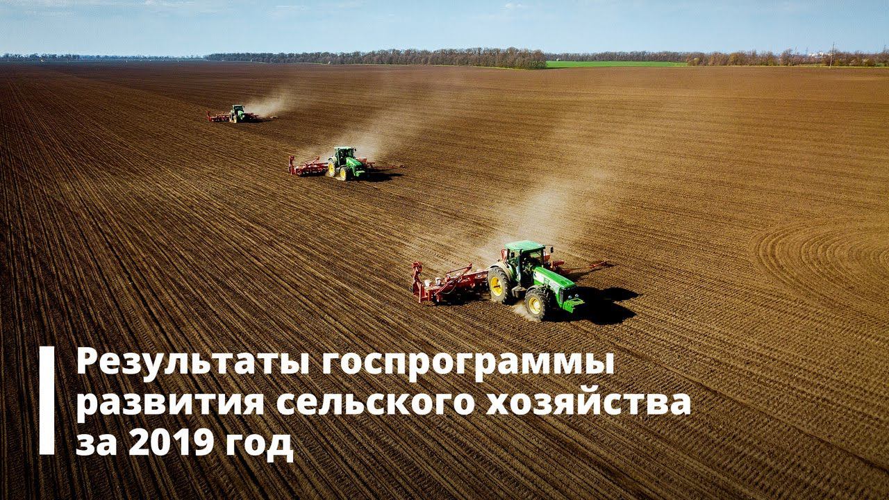 Сельское хозяйство: результаты госпрограммы