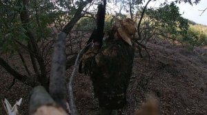 Охота на Вяхиря (новый способ) часть первая.