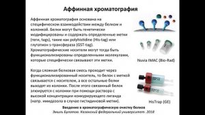 Занятие 5 - Аффинная хроматография