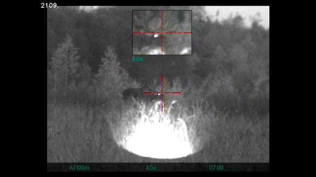 Охота на бобра ночью.КОГО ТОЛЬКО НЕ УВИДИШЬ!!! Sightline N455. смотреть онлайн