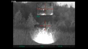 Охота на бобра ночью.КОГО ТОЛЬКО НЕ УВИДИШЬ!!! Sightline N455.