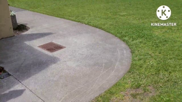 Как попасть в Америку нелегально, обойдя пограничников смотреть онлайн