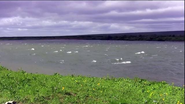 Казакам Дона. Оршуляк Андрей смотреть онлайн