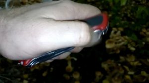 Обзор Victorinox RangerGrip 61 (лесной обзор)