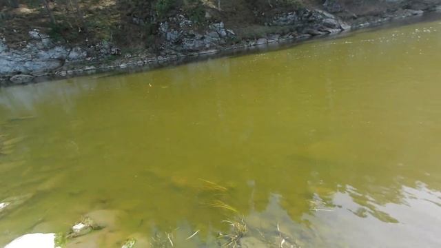 РЫБАЛКА В ИНТЕРЕСНОМ МЕСТЕ... порог Ревун ловля разной рыбы на удочку. смотреть онлайн