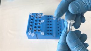 Обзор пробирок «Эппендорфа»