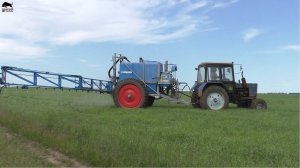 Опрыскивание пшеницы в колхозе