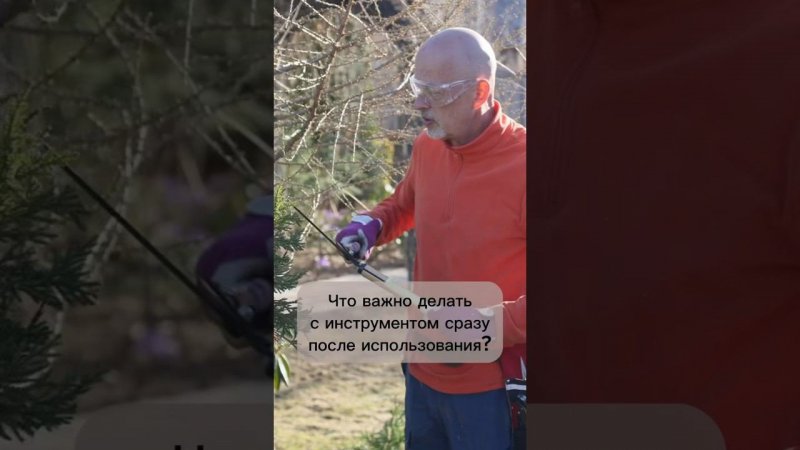 Что важно делать с инструментом сразу после использования? #бонсай #bonsai #ниваки #андрейдарусенков