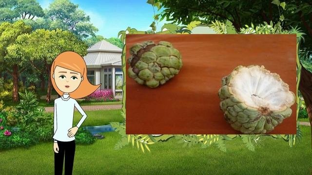 Интересные Факты - 25 Самых Необычных Фруктов (Анимация)