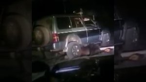 Медведь напал на людей. Страшное видео!