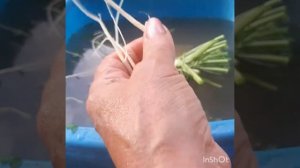 Использование салфетки для посуды в разных целях