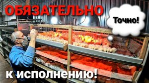 РАБОТА, которая приведет Вас к УСПЕХУ в птицеводстве!