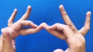 How to make a SNAKE ? Puppet with your Hands