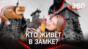 Башня Дракона, черепа и шестеренки. Жутковатые кадры изнутри загадочного замка